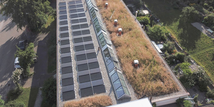 Dachbegrünung in St.Gallen