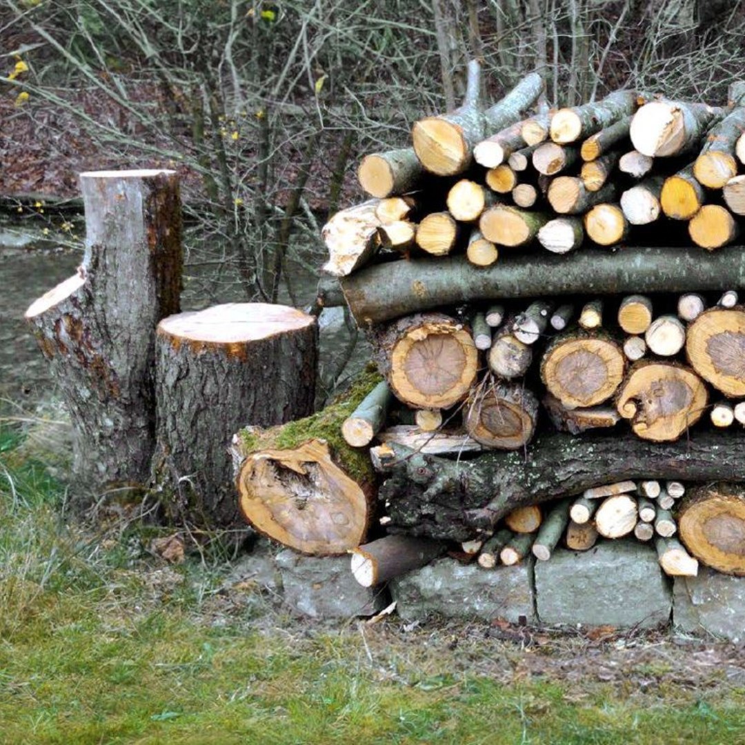 Biodiversität